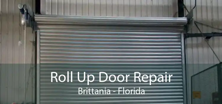 Roll Up Door Repair Brittania - Florida