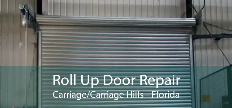 Roll Up Door Repair Carriage/Carriage Hills - Florida