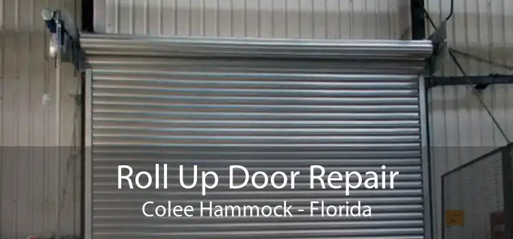 Roll Up Door Repair Colee Hammock - Florida