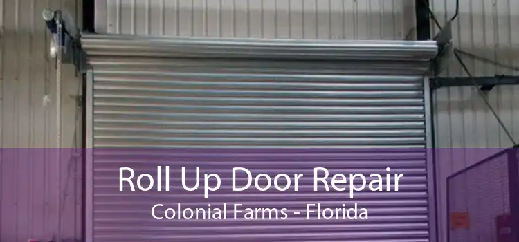 Roll Up Door Repair Colonial Farms - Florida