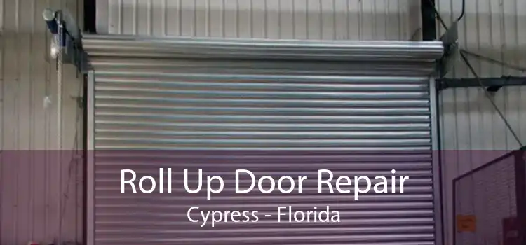 Roll Up Door Repair Cypress - Florida