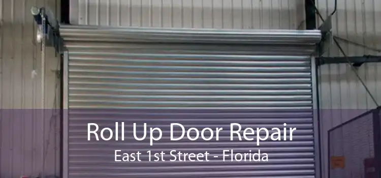 Roll Up Door Repair East 1st Street - Florida