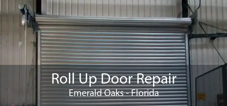 Roll Up Door Repair Emerald Oaks - Florida