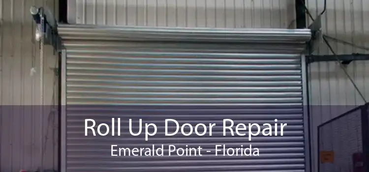 Roll Up Door Repair Emerald Point - Florida