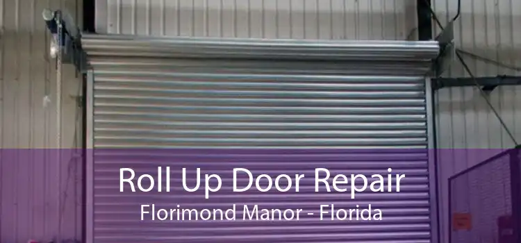 Roll Up Door Repair Florimond Manor - Florida