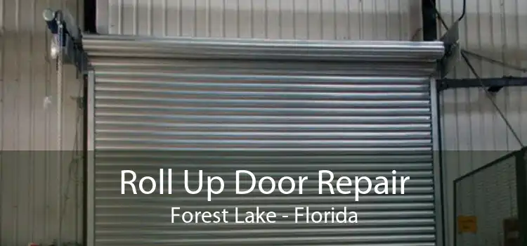 Roll Up Door Repair Forest Lake - Florida