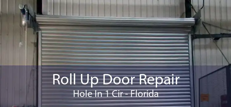 Roll Up Door Repair Hole In 1 Cir - Florida