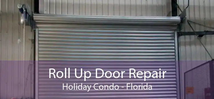 Roll Up Door Repair Holiday Condo - Florida