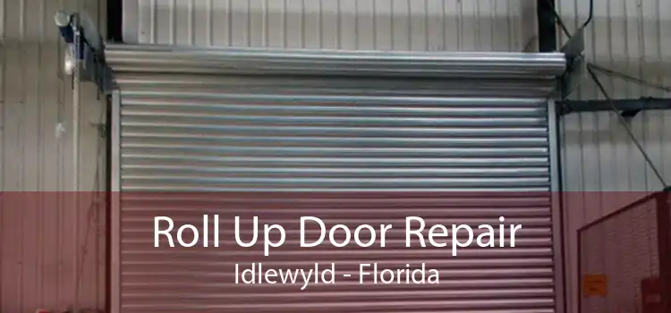 Roll Up Door Repair Idlewyld - Florida