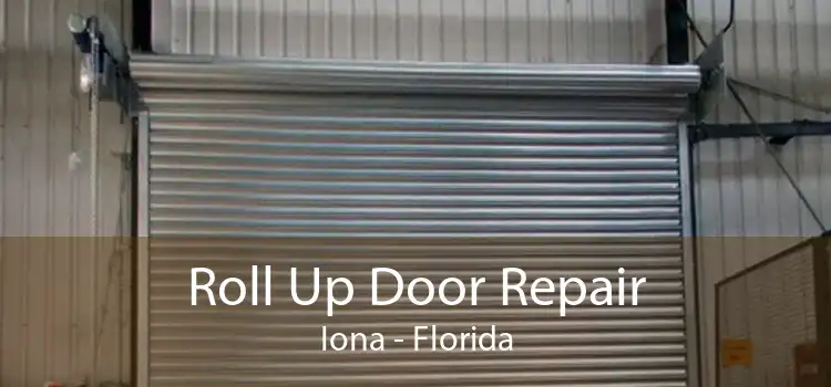 Roll Up Door Repair Iona - Florida