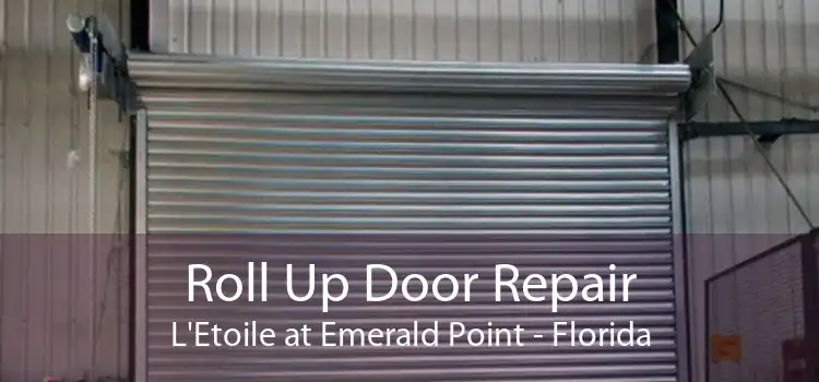 Roll Up Door Repair L'Etoile at Emerald Point - Florida