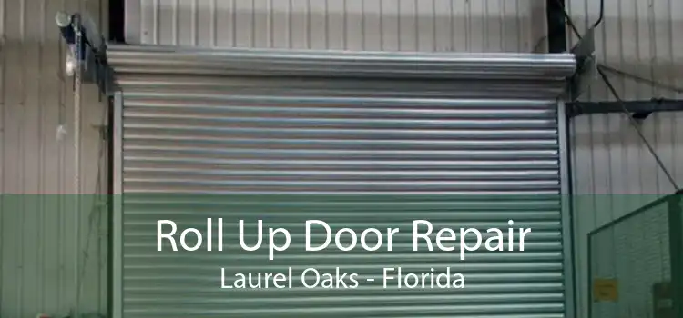 Roll Up Door Repair Laurel Oaks - Florida