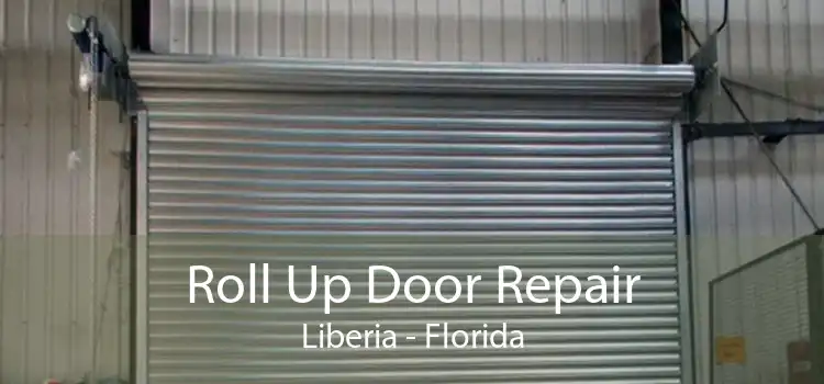 Roll Up Door Repair Liberia - Florida