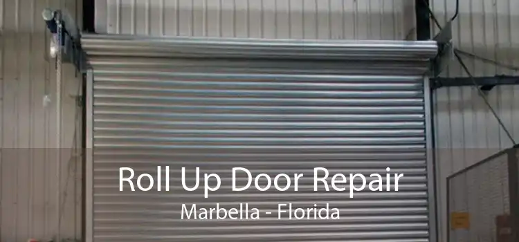 Roll Up Door Repair Marbella - Florida