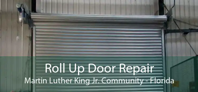 Roll Up Door Repair Martin Luther King Jr. Community - Florida