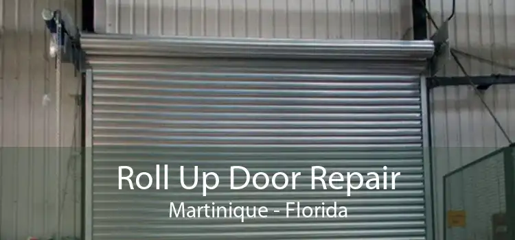 Roll Up Door Repair Martinique - Florida