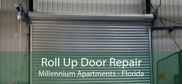 Roll Up Door Repair Millennium Apartments - Florida