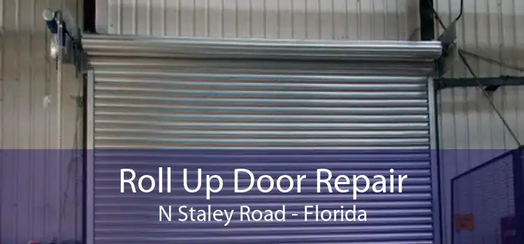 Roll Up Door Repair N Staley Road - Florida