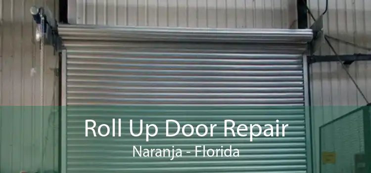 Roll Up Door Repair Naranja - Florida