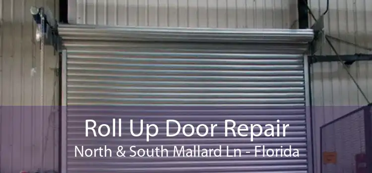 Roll Up Door Repair North & South Mallard Ln - Florida