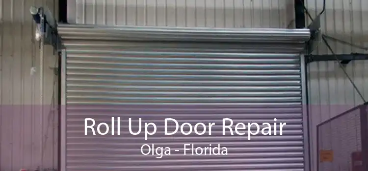 Roll Up Door Repair Olga - Florida