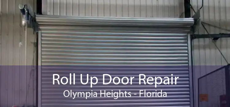 Roll Up Door Repair Olympia Heights - Florida