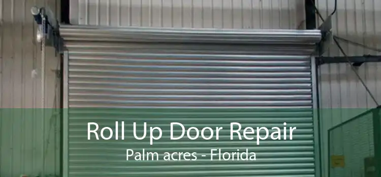 Roll Up Door Repair Palm acres - Florida