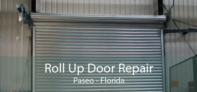 Roll Up Door Repair Paseo - Florida