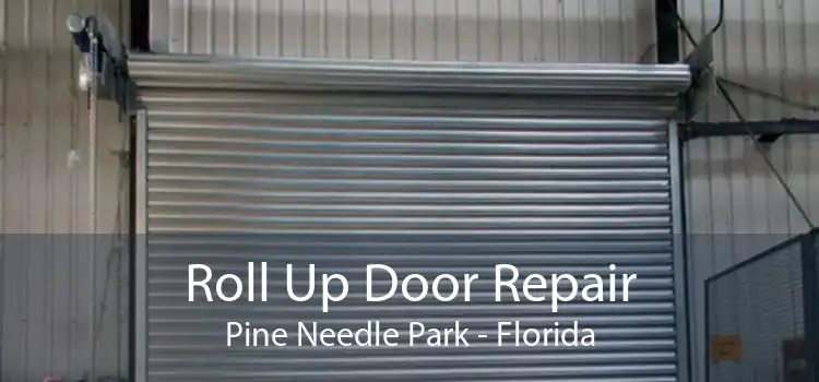 Roll Up Door Repair Pine Needle Park - Florida