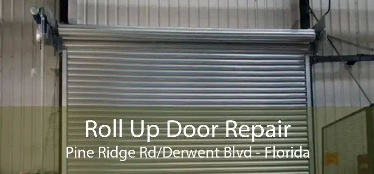 Roll Up Door Repair Pine Ridge Rd/Derwent Blvd - Florida