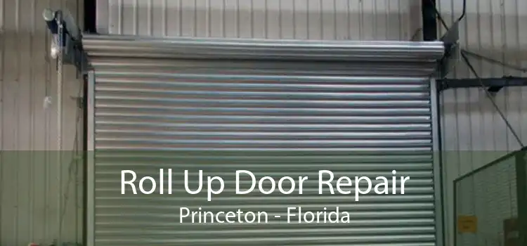 Roll Up Door Repair Princeton - Florida