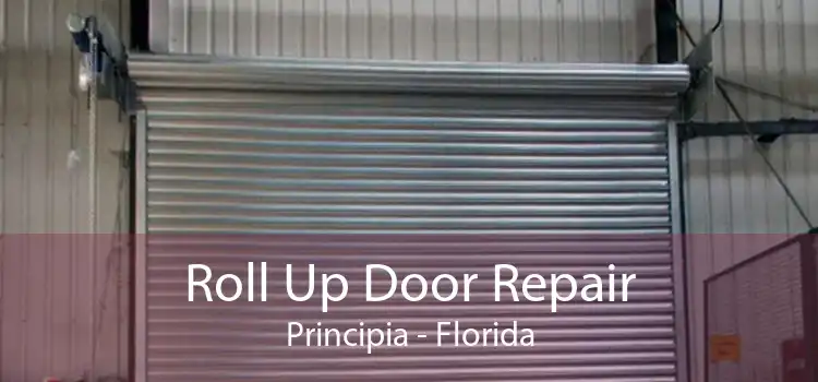 Roll Up Door Repair Principia - Florida