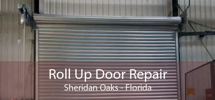 Roll Up Door Repair Sheridan Oaks - Florida