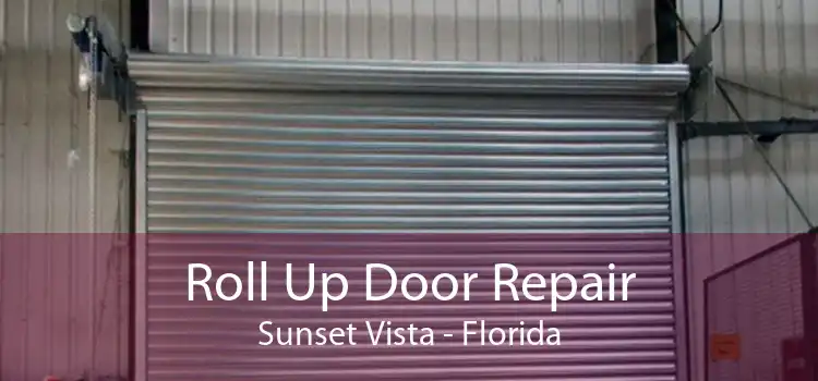 Roll Up Door Repair Sunset Vista - Florida