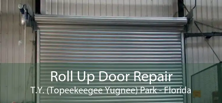 Roll Up Door Repair T.Y. (Topeekeegee Yugnee) Park - Florida