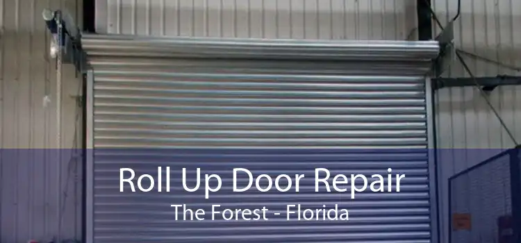 Roll Up Door Repair The Forest - Florida