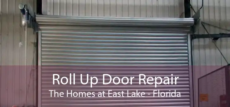 Roll Up Door Repair The Homes at East Lake - Florida