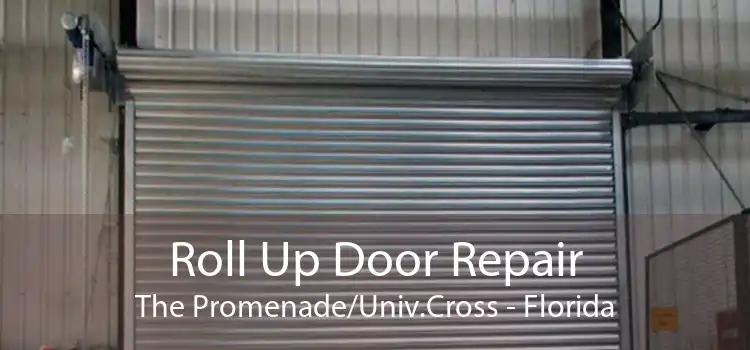 Roll Up Door Repair The Promenade/Univ.Cross - Florida