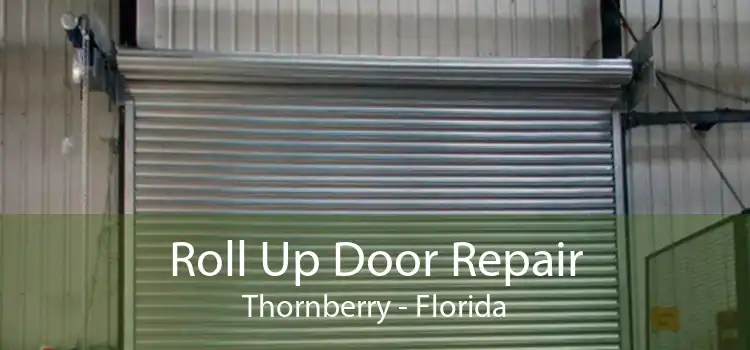 Roll Up Door Repair Thornberry - Florida