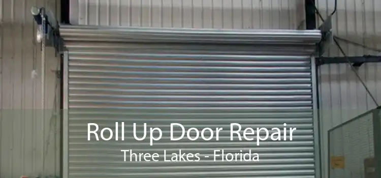 Roll Up Door Repair Three Lakes - Florida