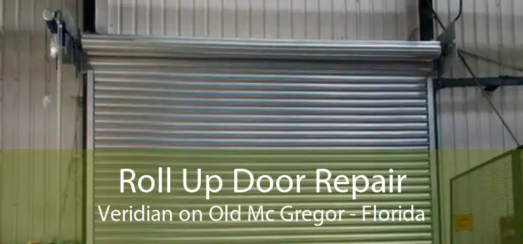 Roll Up Door Repair Veridian on Old Mc Gregor - Florida