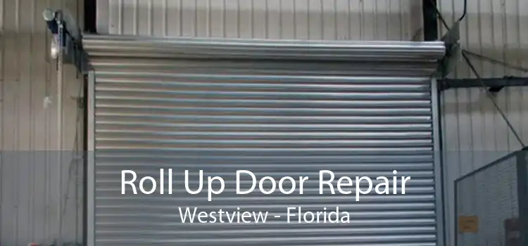 Roll Up Door Repair Westview - Florida