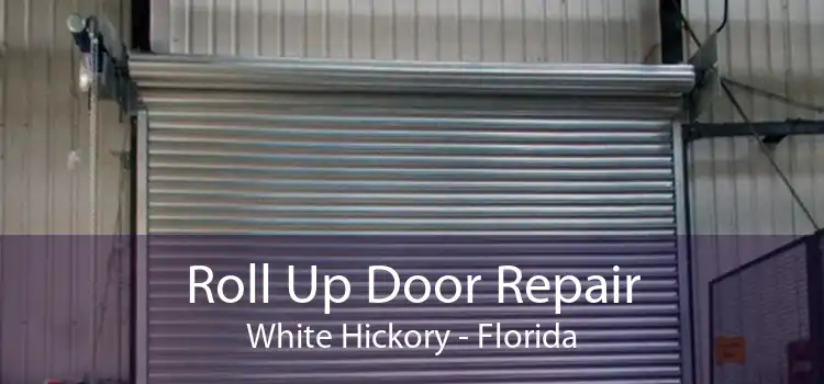 Roll Up Door Repair White Hickory - Florida