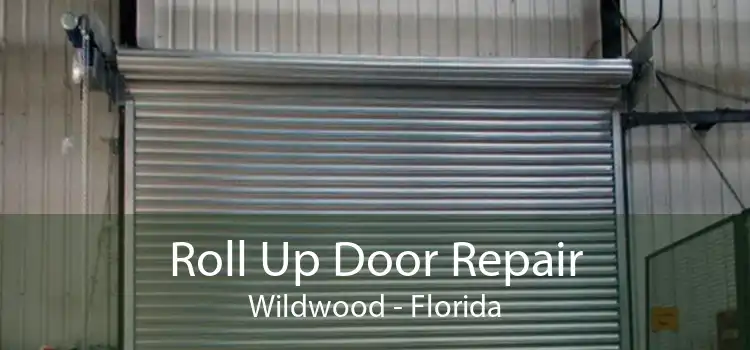 Roll Up Door Repair Wildwood - Florida