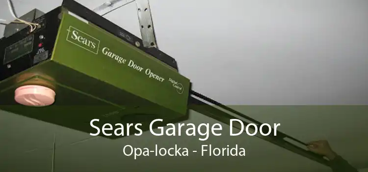 Sears Garage Door Opa-locka - Florida