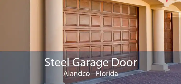 Steel Garage Door Alandco - Florida