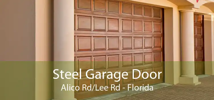 Steel Garage Door Alico Rd/Lee Rd - Florida