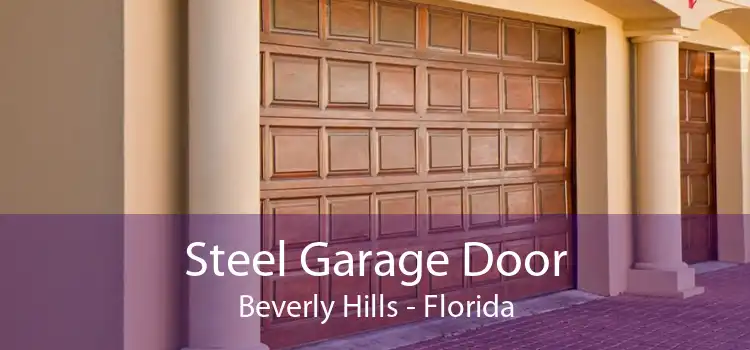 Steel Garage Door Beverly Hills - Florida