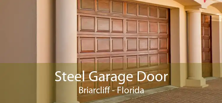 Steel Garage Door Briarcliff - Florida