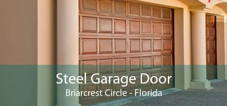 Steel Garage Door Briarcrest Circle - Florida